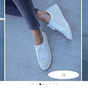 VICI MONTECITO FAUX LEATHER PERFORATED SNEAKERS - WHITE